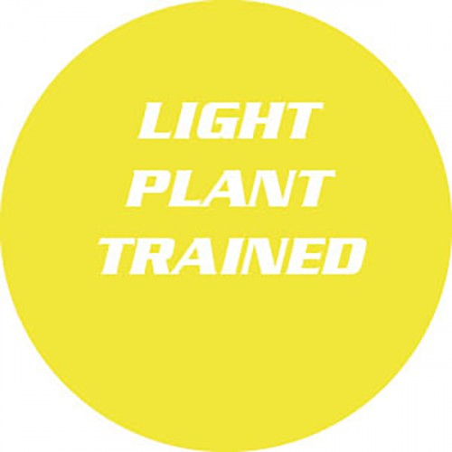 Light Plant / Trained