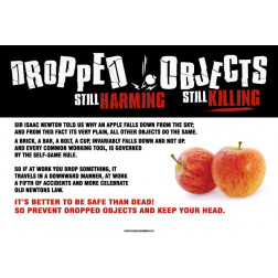 Dropped Objects - Harming / Killing