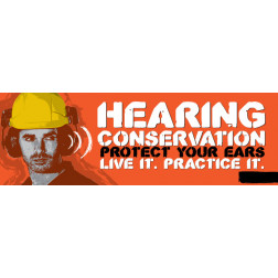 Hearing Conservation