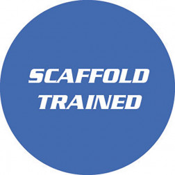 Scaffold / Trained